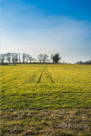 Azienda agricola a seminativo