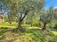 Immagine 19