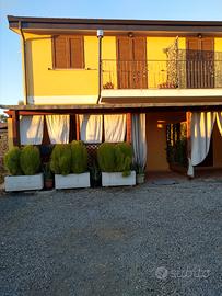 Oleandro 5