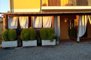Oleandro 5