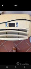 Pinguino de longhi
