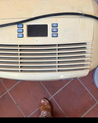 Pinguino de longhi