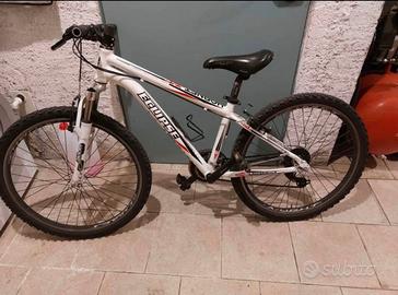 Bicicletta