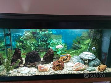 Acquario da 300 litri