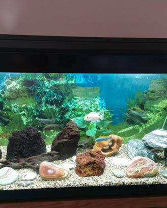 Acquario da 300 litri