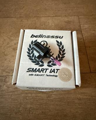 Smart IAT Belinassu