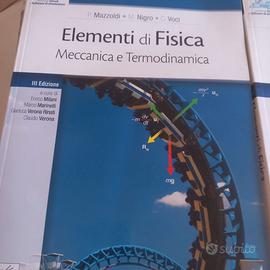 Mazzoldi -Nigro-Voci. Fisica