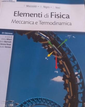 Mazzoldi -Nigro-Voci. Fisica
