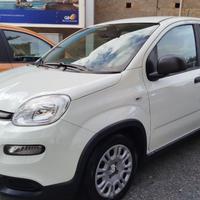 Auto Fiat Pandina
