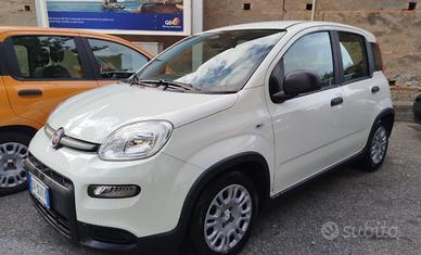 Auto Fiat Pandina