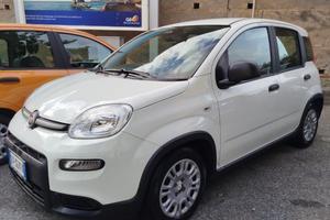 Auto Fiat Pandina