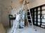 Immagine 18