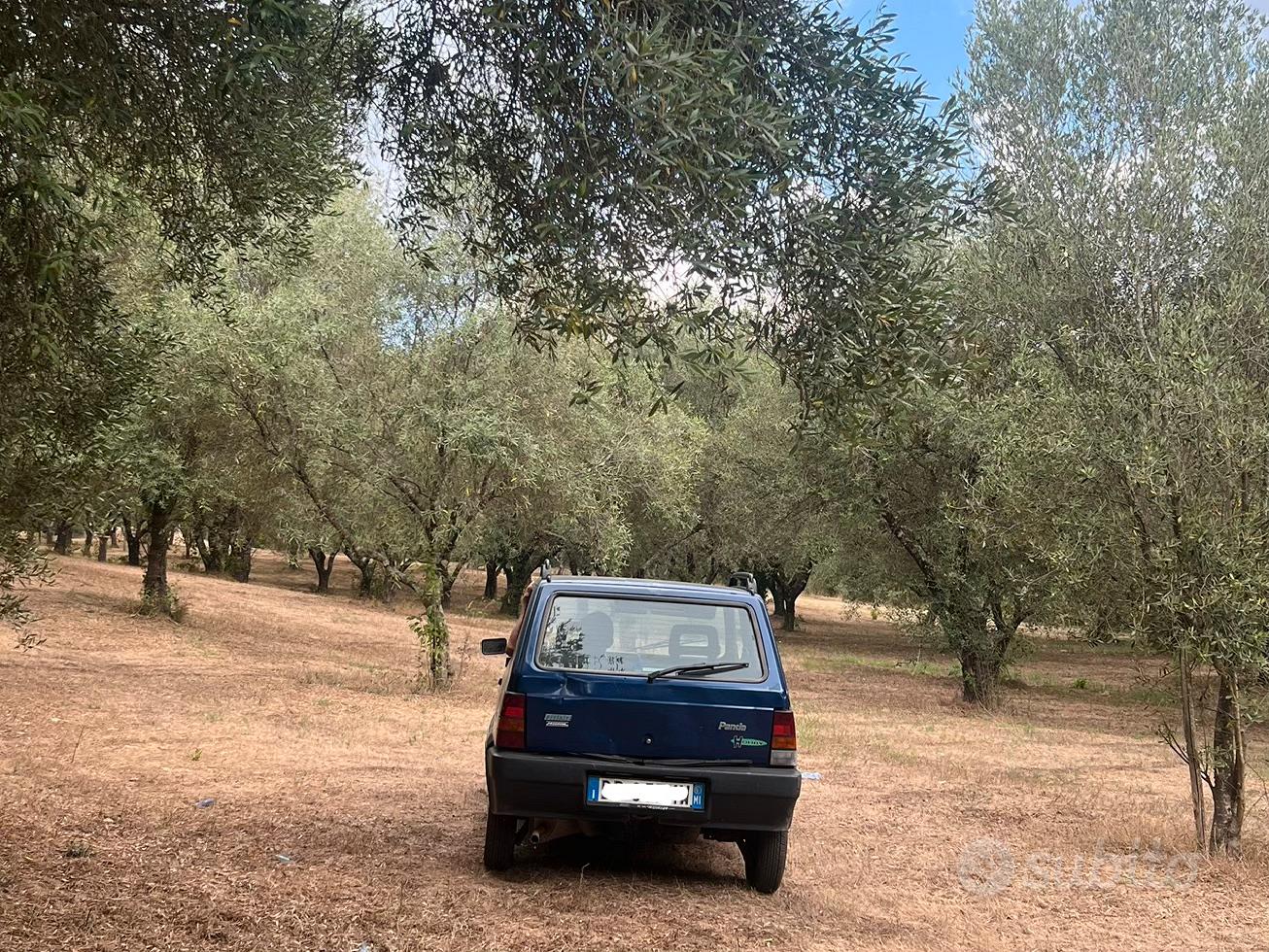Terreno agricolo 2 ettari con fabbricato - Altro
