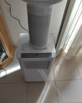 climatizzatore portatile 