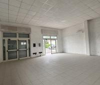 Negozio Alatri [Cod. rif V013ACG]