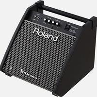 Roland PM-100