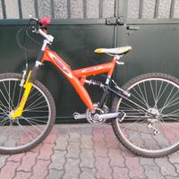 Bicicletta Zephyr
