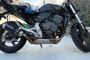 Honda hornet
