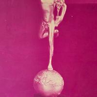 Premio Mercurio d'oro 1972 rarita'