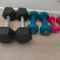 Pesi Manubri palestra