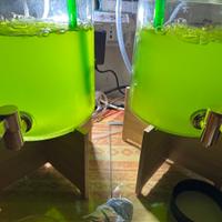 Acqua marina ATI & Fito