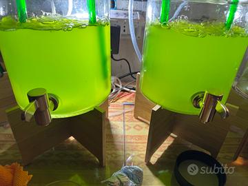 Acqua marina ATI & Fito