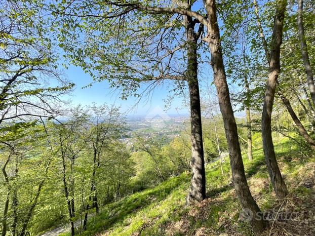 TER. AGRICOLO A SCANZOROSCIATE