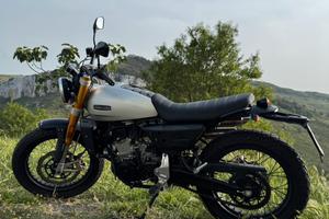 Fantic Caballero 500 scrambler Flat Trak 2023