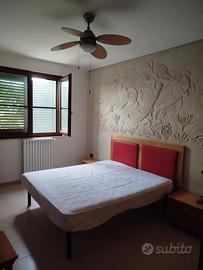 B&B trasfertisti.