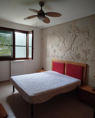 B&B trasfertisti.