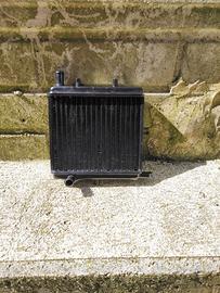 RADIATORE H2O APRILIA AF1 50 1990