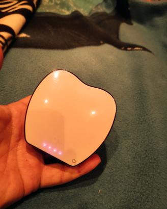 Power bank modello simil Apple 