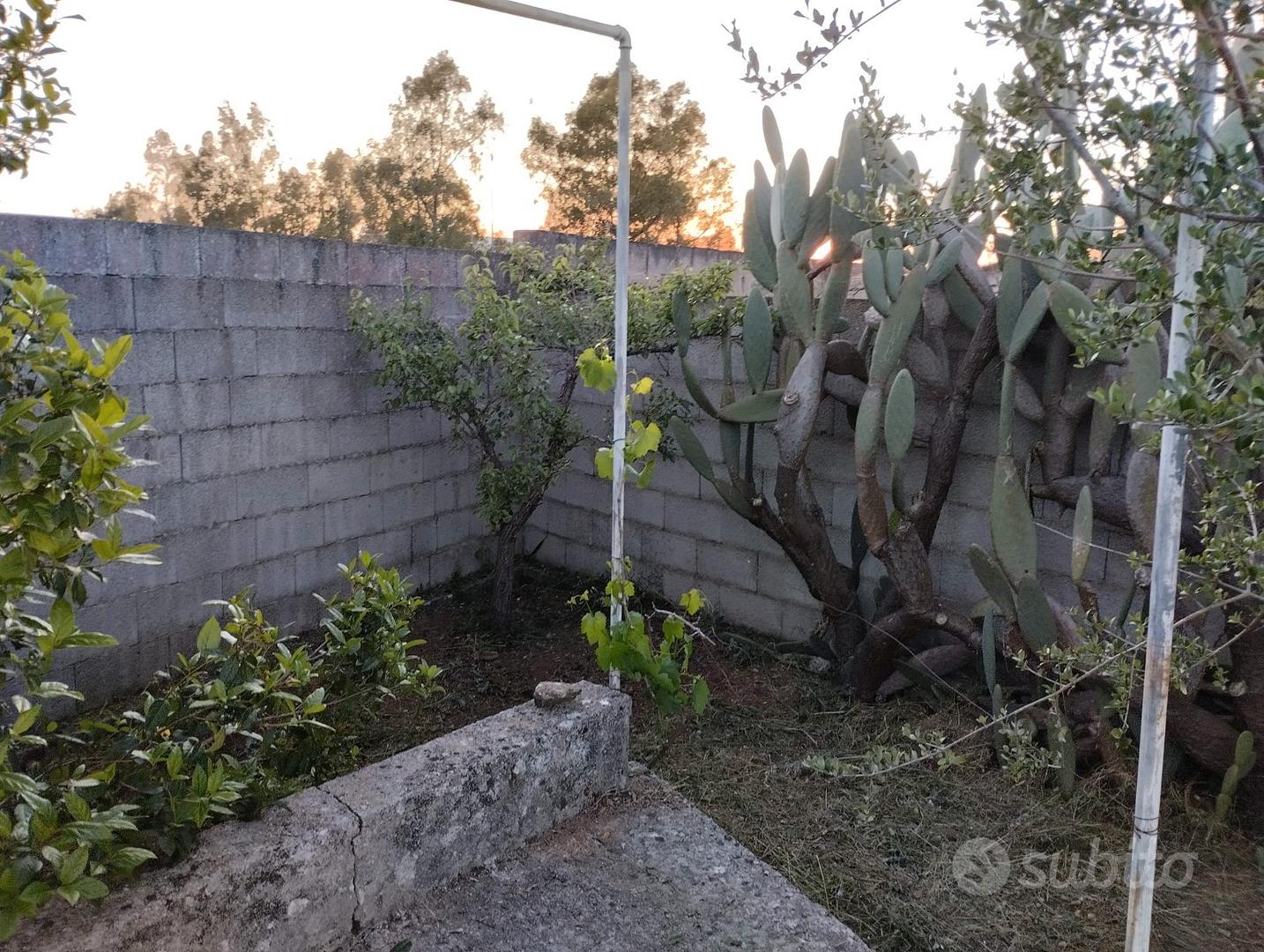 Terreno recintato con piccola costruzione - Vista 3