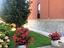Immagine 6