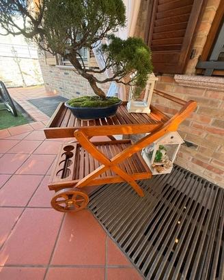 Carrello Portavivande Unopiù