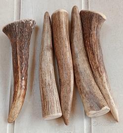 Gioco per cani di taglia piccola