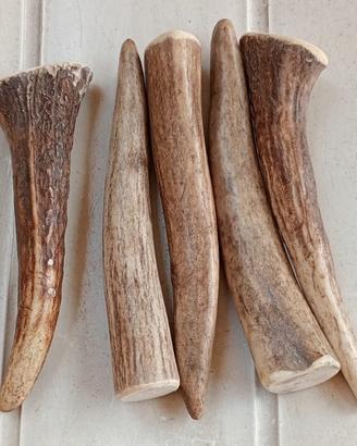 Gioco per cani di taglia piccola