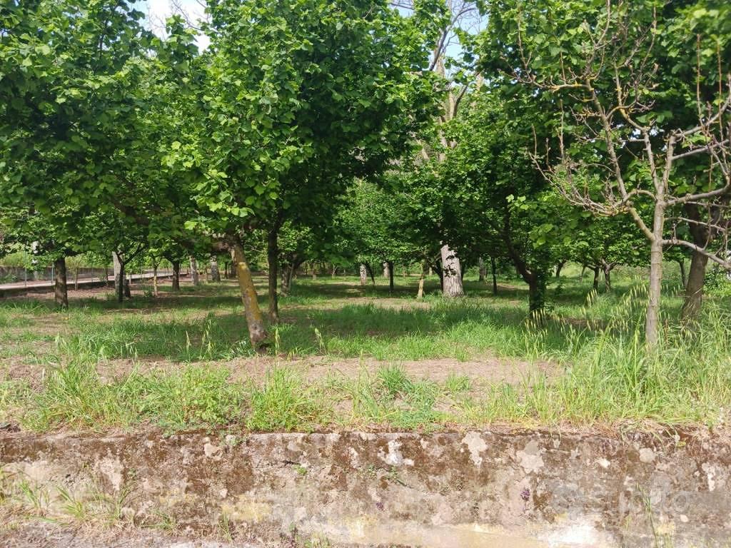 Terreno di 2200 m² a Mercato San Severino - Vista 3