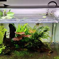 lampada acquario Onf flat one +