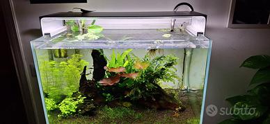 lampada acquario Onf flat one +