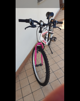 mtb con ruote da 24