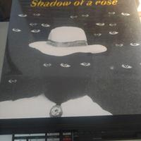 lotto vinili punk blues dei movie star junkies