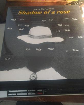 lotto vinili punk blues dei movie star junkies