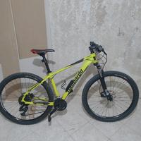 MTB 29 lombardo 