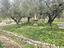 Immagine 28