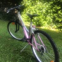 BICICLETTA DONNA