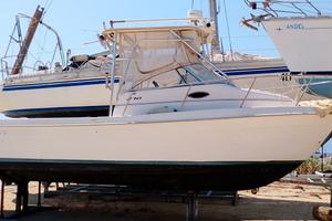 Cobia 270 WA macchina da pesca