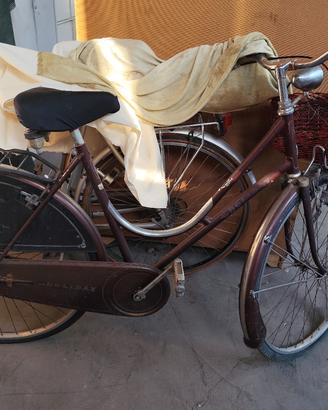 Bici donna con cestino