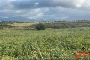 Terreno Contrada Cannizzaro (Rif.1686)