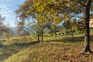 TER. RESIDENZIALE A RIVALBA